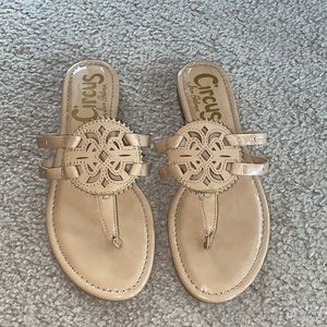 Circus by Sam Edelman Medallian Thong Nude Sandals